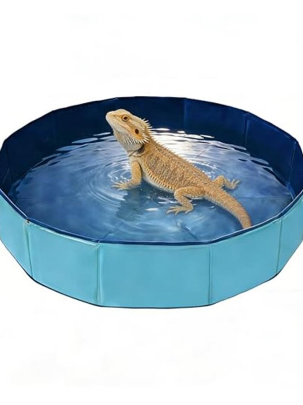 Foldable Pet Bath Pool Dog Bath Tub for Large & Small Dogs 12"L x 4"W x 1"H